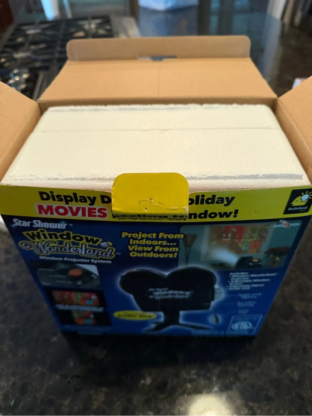 Star Shower Window Wonderland Holiday Projector in Black